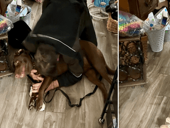 Homeless Man Tearfully Reunites With Stolen Service Dog - Featured image