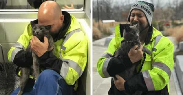 Truck Driver Breaks Into Tears When He Is Reunited With His Lost Travel Buddy After Months Of Searching - Featured image
