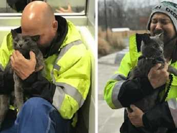 Truck Driver Breaks Into Tears When He Is Reunited With His Lost Travel Buddy After Months Of Searching - Featured image